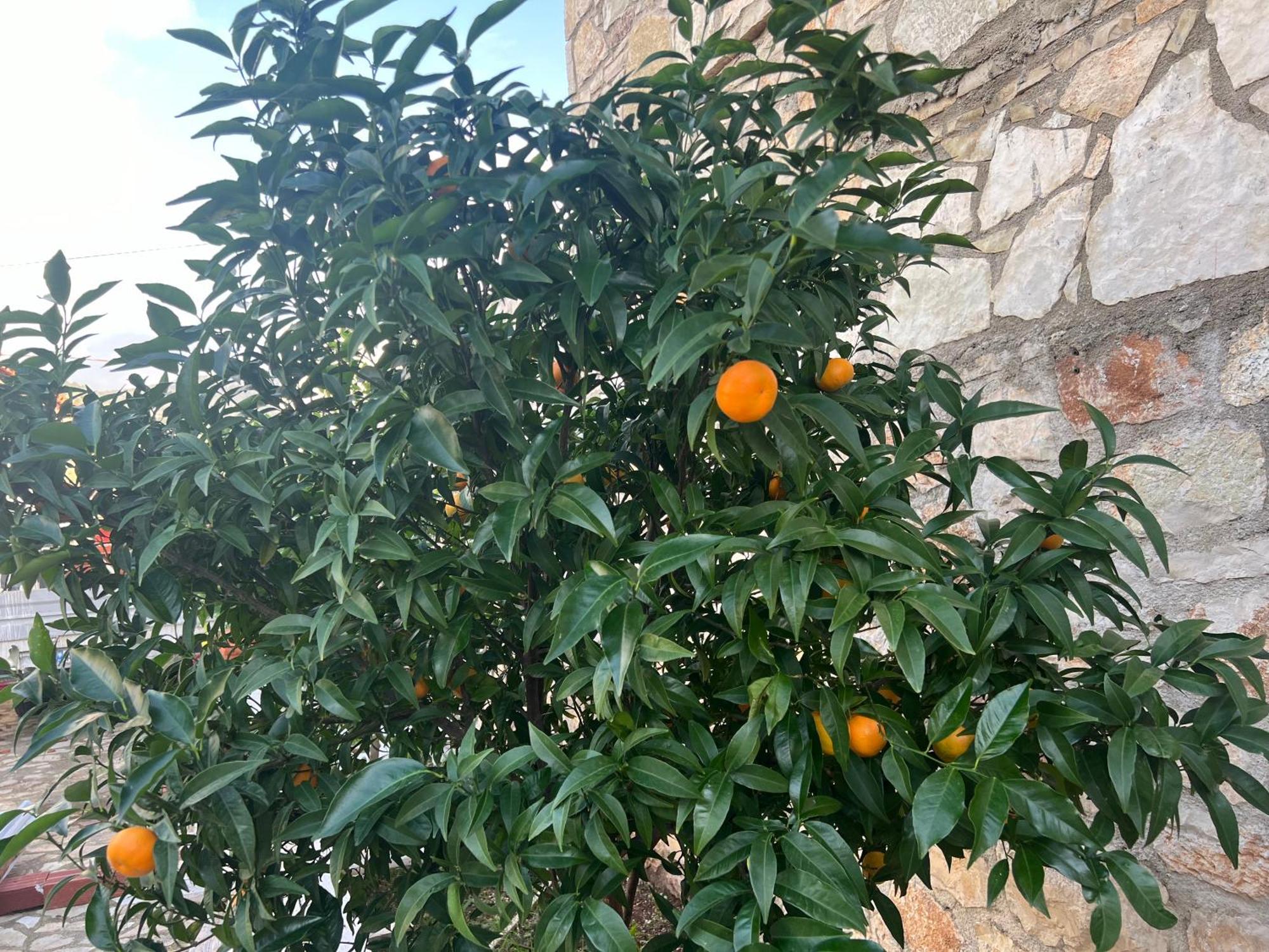 Jardin Miraculeux Hotel Himara Kültér fotó