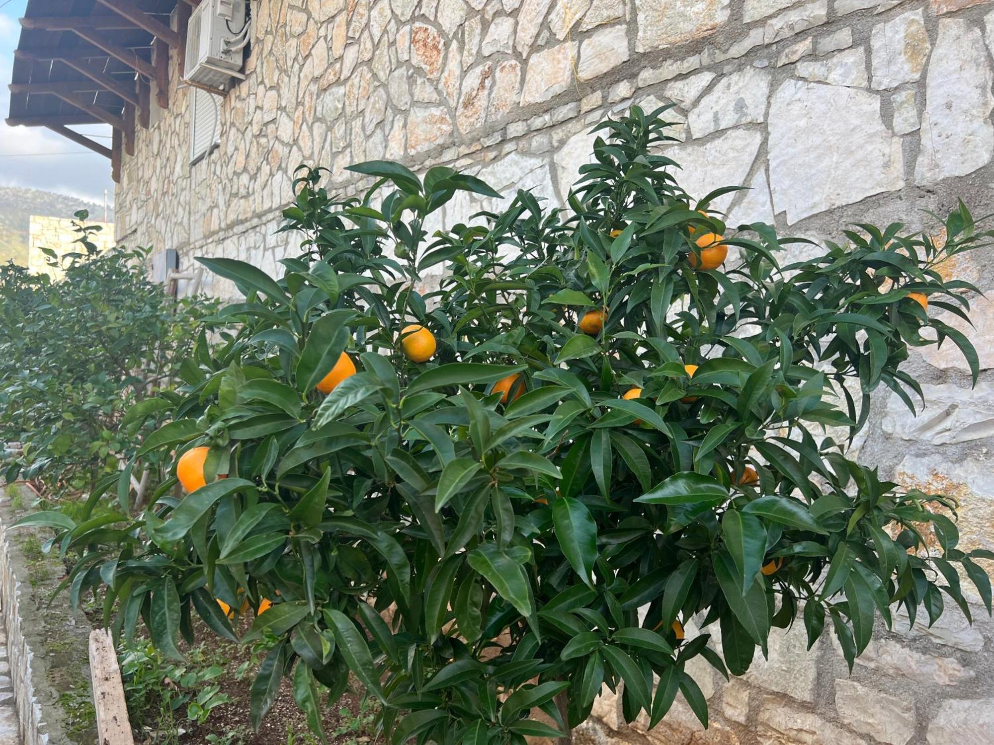 Jardin Miraculeux Hotel Himara Kültér fotó